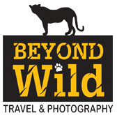 Beyond Wild